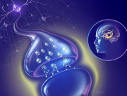 Biochemical depression wall chart highlighting neurotransmitter dysfunction and limbic system