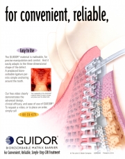 Guidor ad page