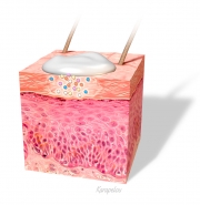 skin product MOA concept