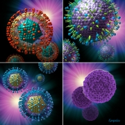 MRSA and viral pathogens