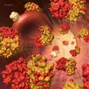 Hyperinsulinism