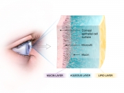 Tear Film Structure