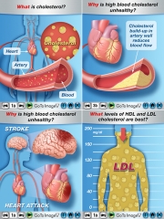 High cholesterol education for mobile app