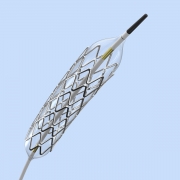Angioplasty balloon catheter with stent deployed