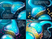 Neural synapse depicting treatment-resistant depression and different drug interactions
