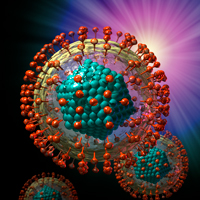 Hepatitis B virus by John W. Karapelou, CMI